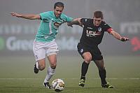 Alisic