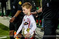Mascotte