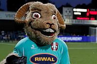 Sjaak Schaap