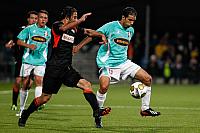 Alisic