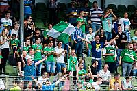 20150807-dorein-09