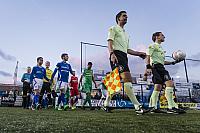 GVVV 19/9